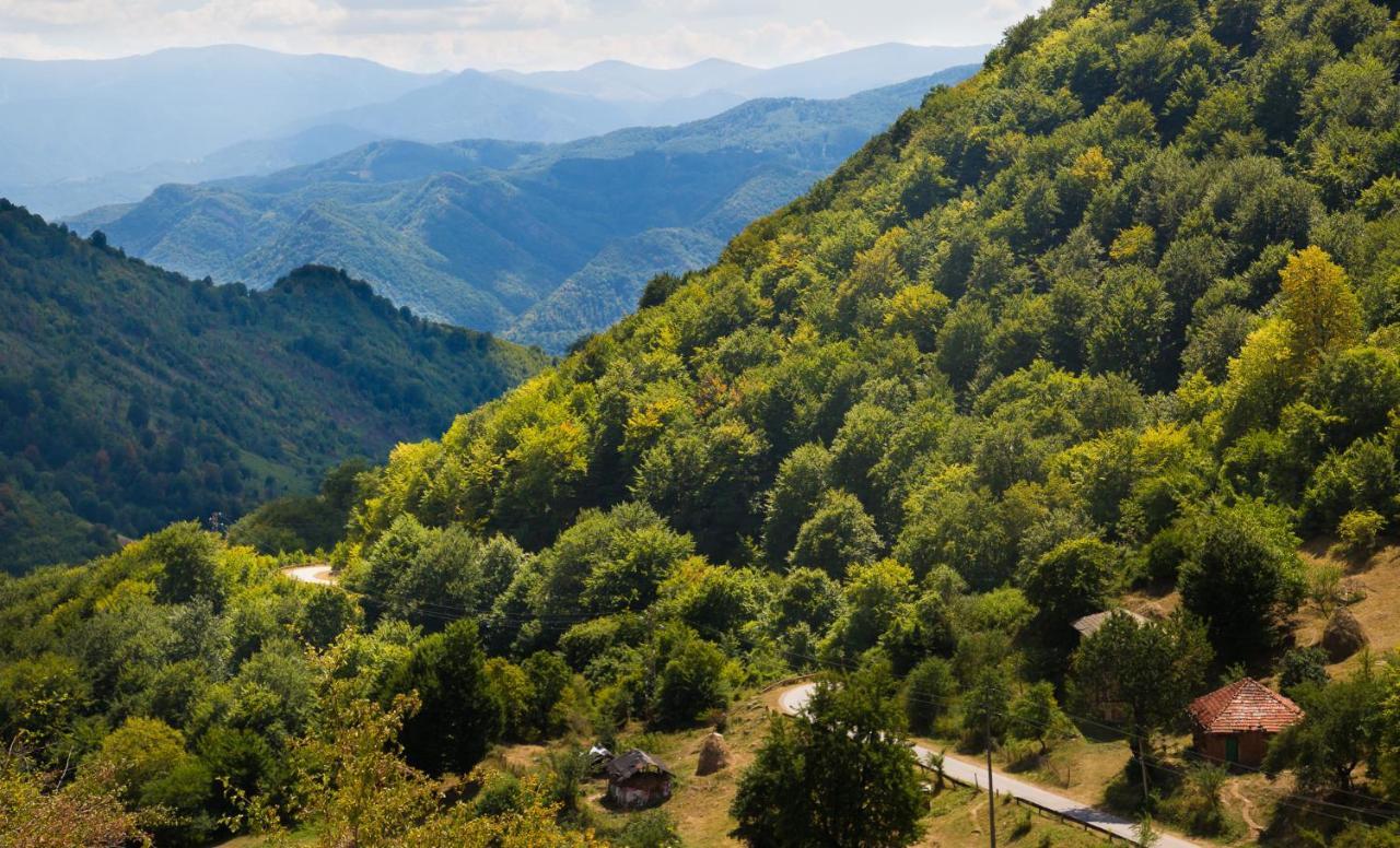 Семеен Хотел Вит Teteven Exterior foto